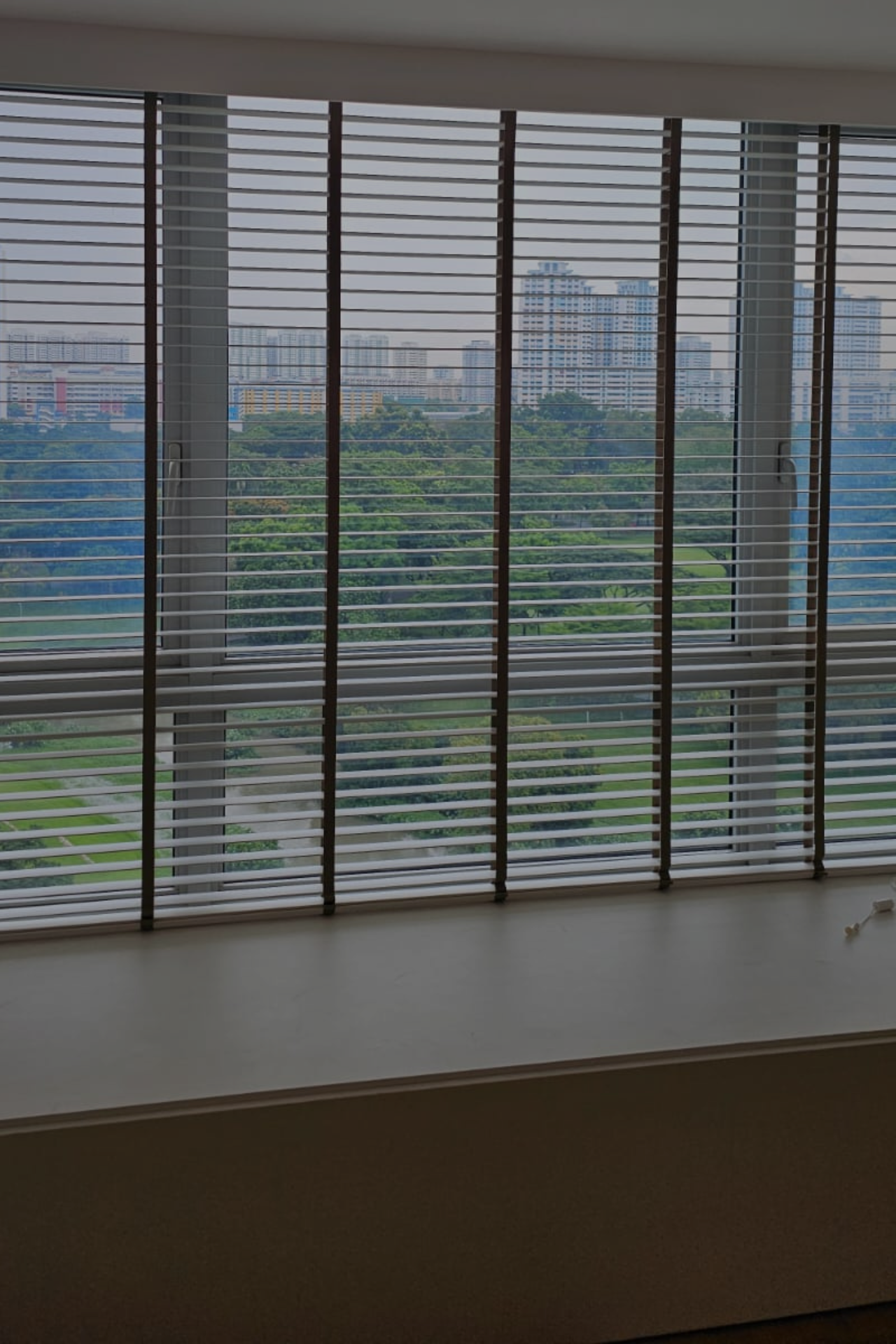 Venetian Blinds